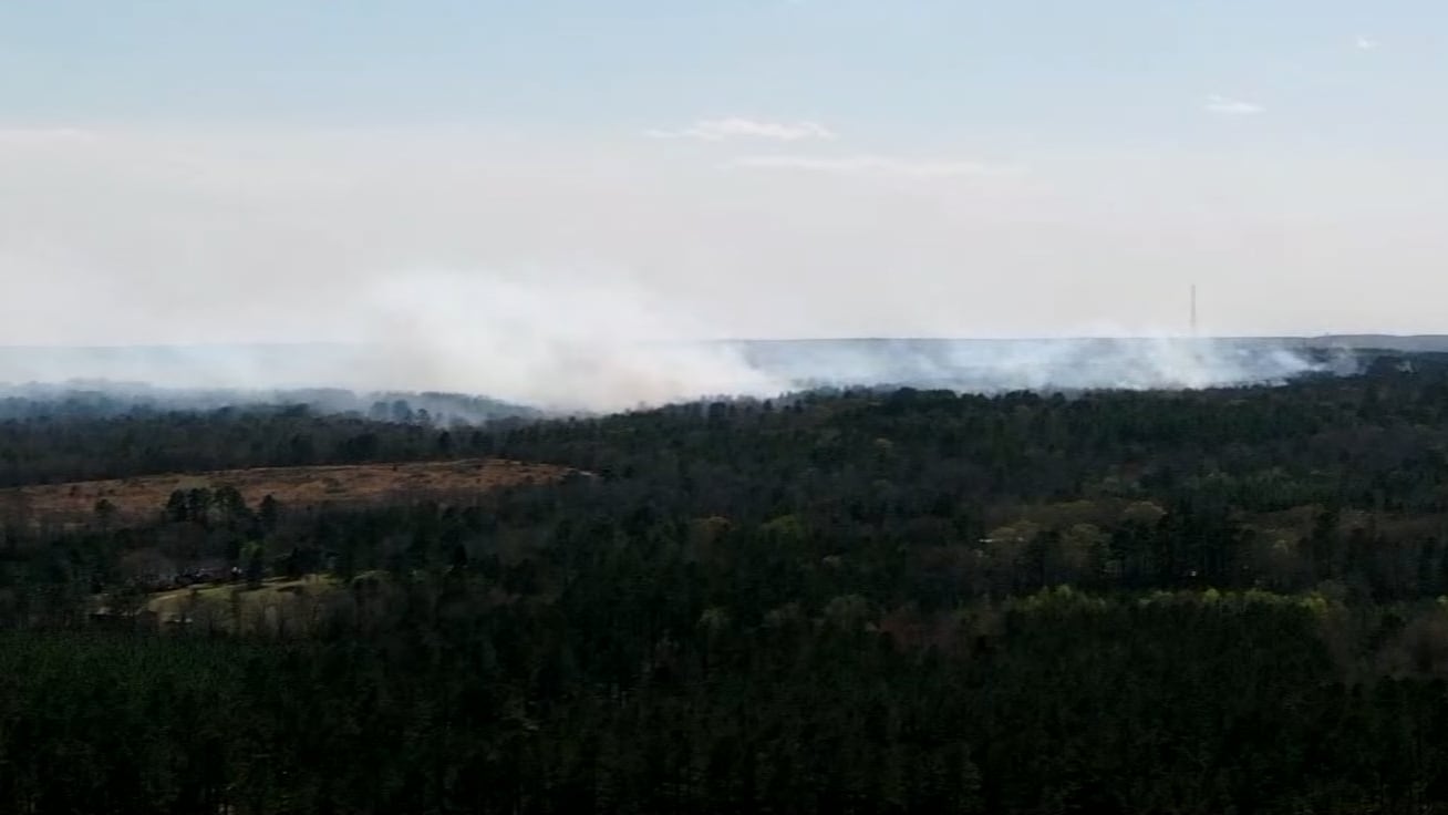 New Ellenton brush fire