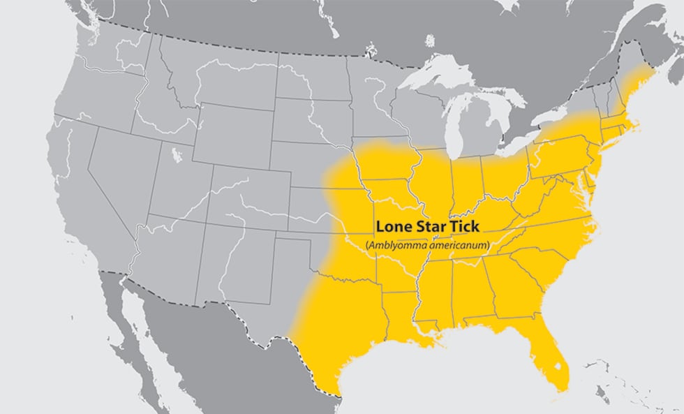 Lone star ticks can be found from central Texas and Oklahoma eastward across the southern...