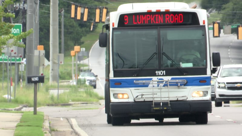 Augusta transit