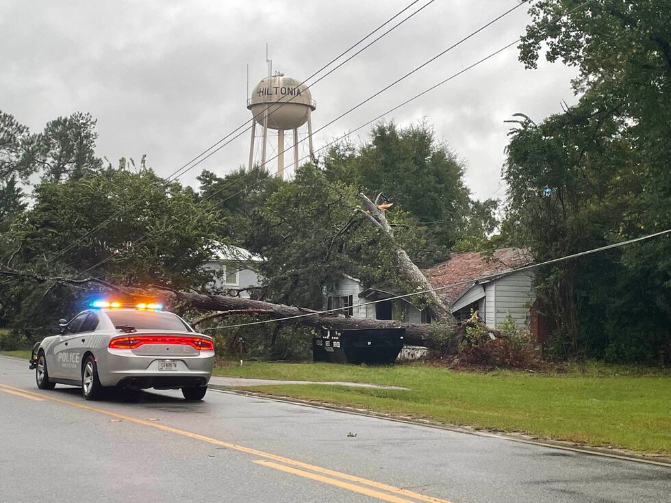 A tree fell on a home in Hiltonia