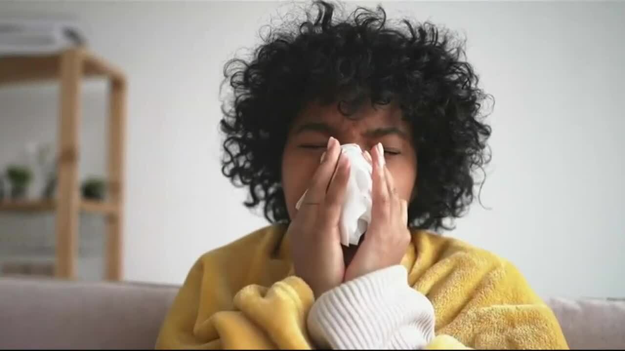 If you’ve been sniffling and sneezing... trust me your not alone. Nearly 81 People in the...