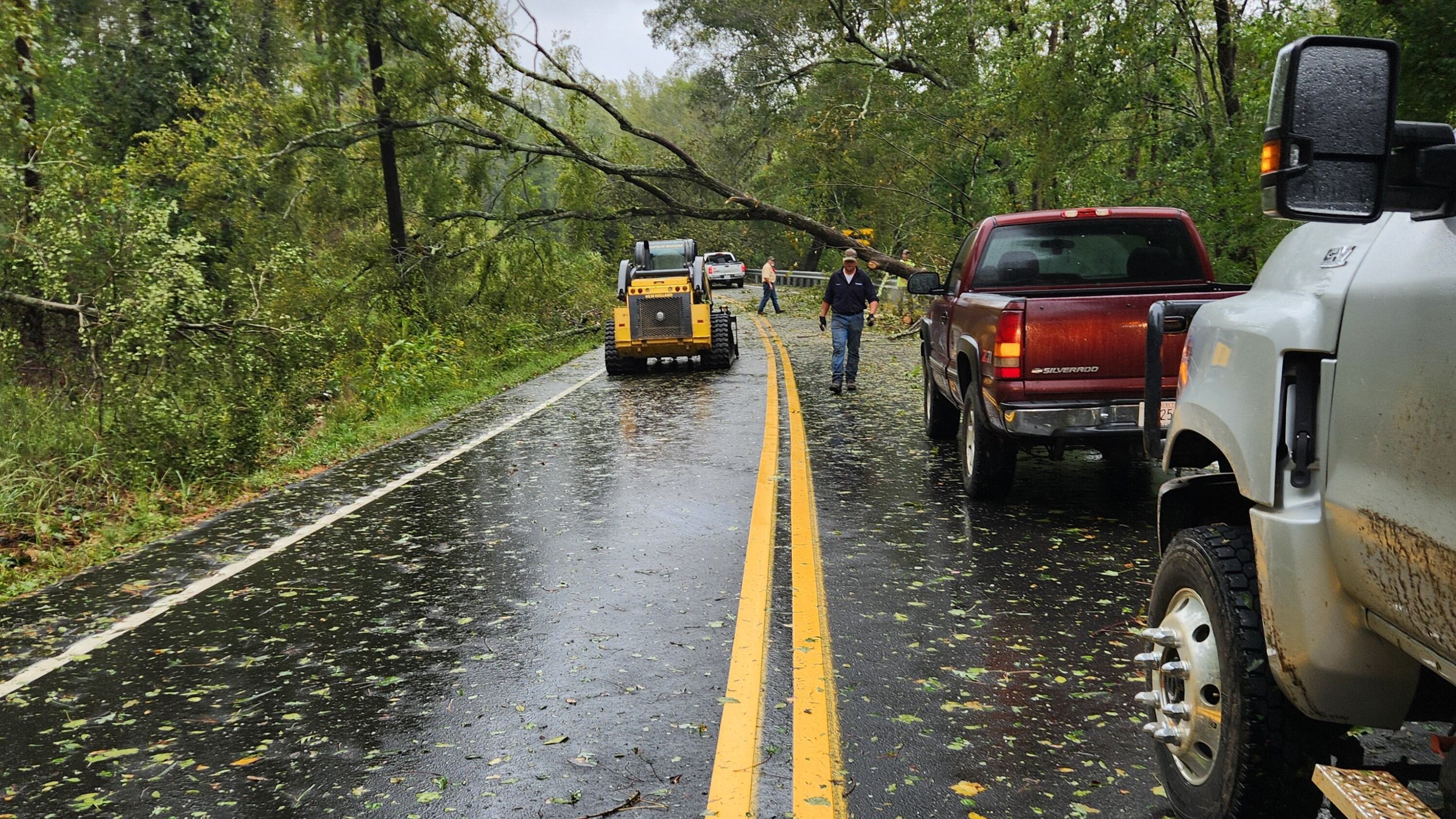Trees have fallen across the CSRA as a result of Hurricane Helene.