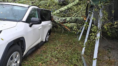 Trees have fallen across the CSRA as a result of Hurricane Helene.