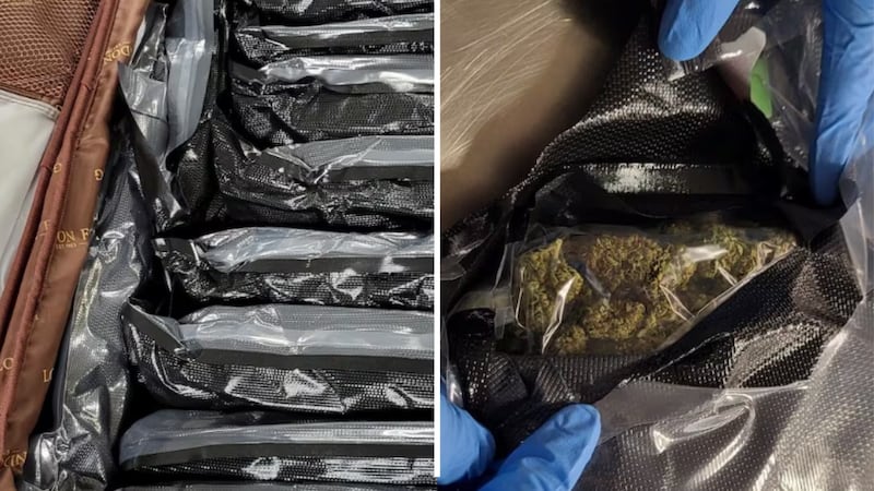 According to authorities, inside the suitcases were 38 bundles of marijuana with a total...