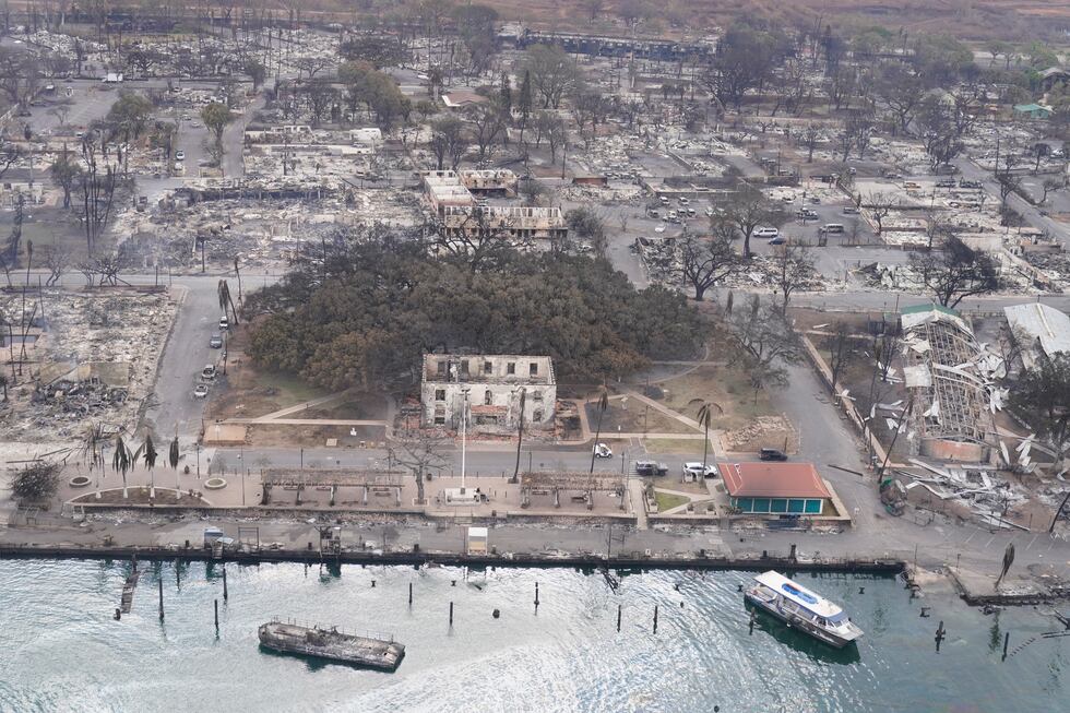 Aerial view of the historic Banyan tree damaged by wildfire.