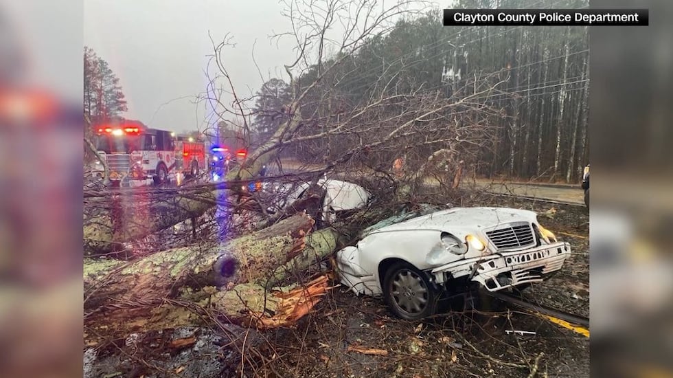 A driver was found dead on a Georgia highway after a tree fell and crushed their vehicle...
