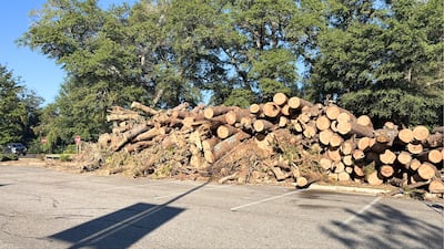 Cleanup underway for Augusta area