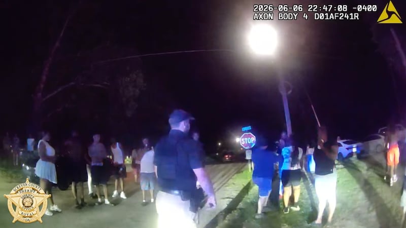 Crowd turns ‘aggressive’ during Hiltonia traffic stop; mother, son arrested