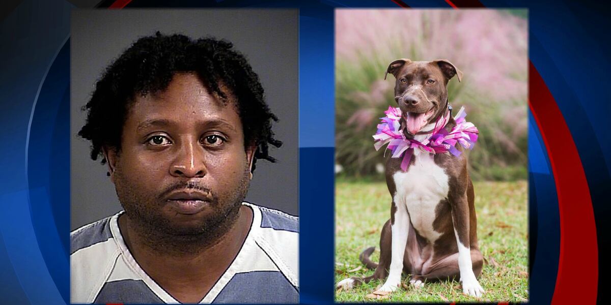 Christopher Railsback UPDATE | Man pleads guilty after muzzling dog with electrical tape