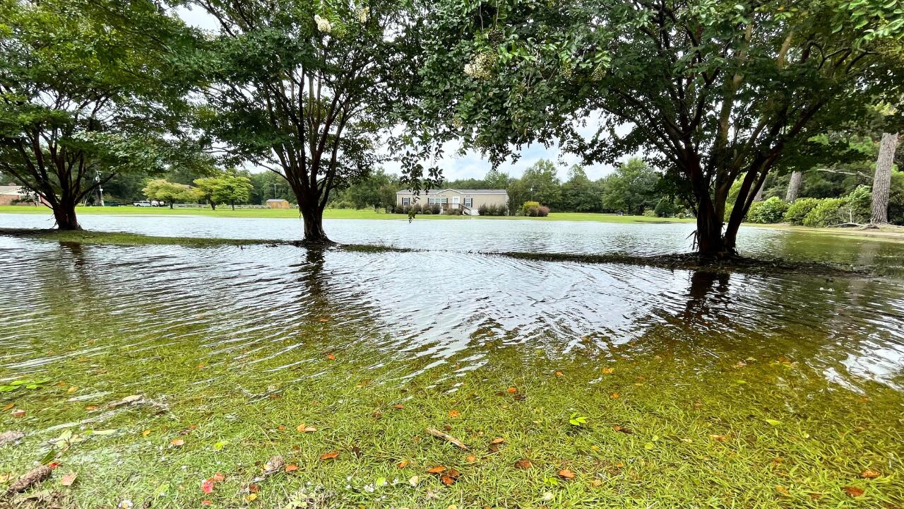 Flooding in Allendale County
