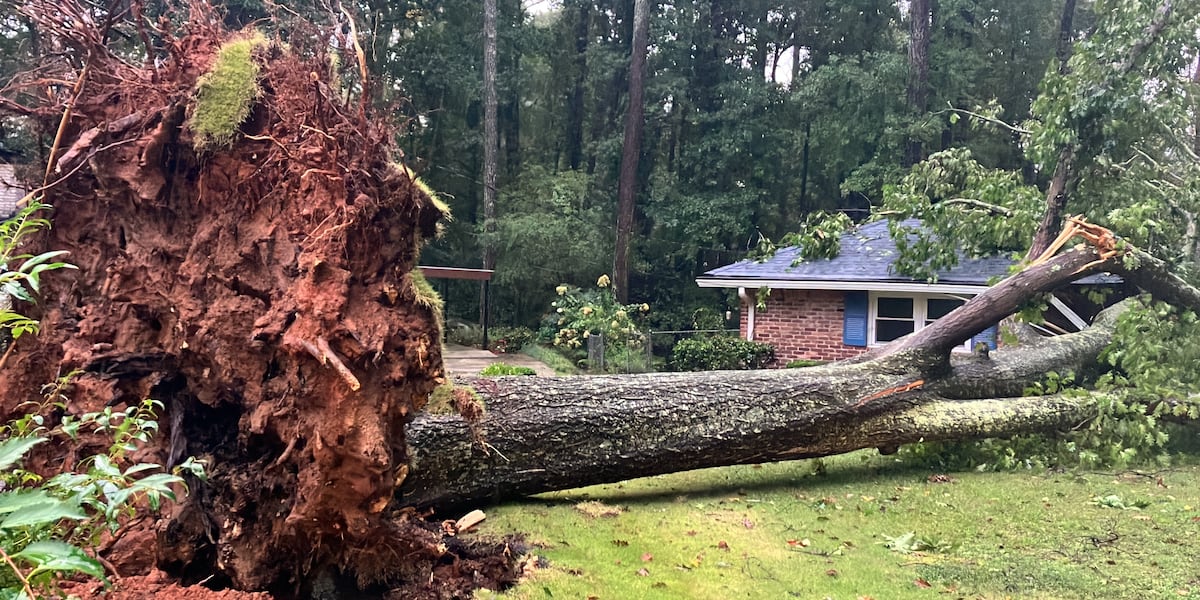 Ga. woman grateful to be alive after tree hits home during storm