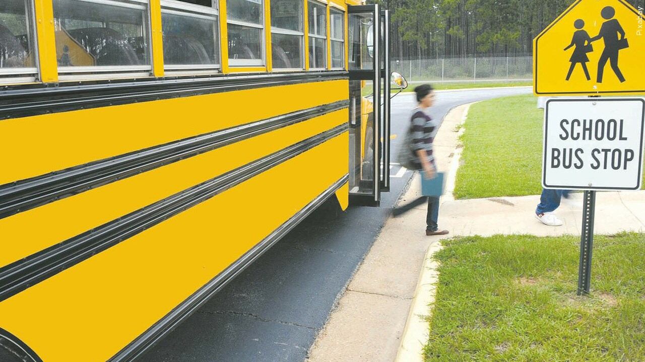 School bus (generic)