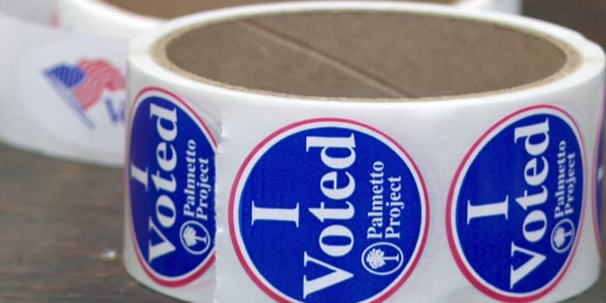 South Carolina set to use new tool to help verify voter citizenship status South Carolina set to use new tool to help verify voter citizenship status