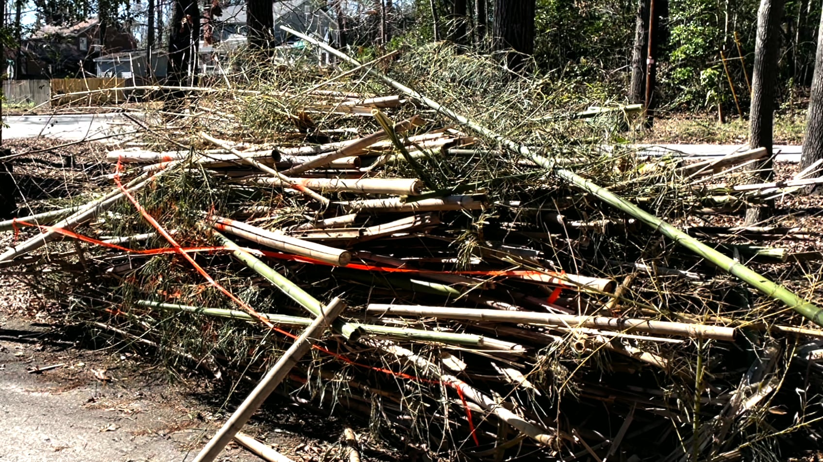 Debris piles marked with orange tape won't be picked up in Columbia County.