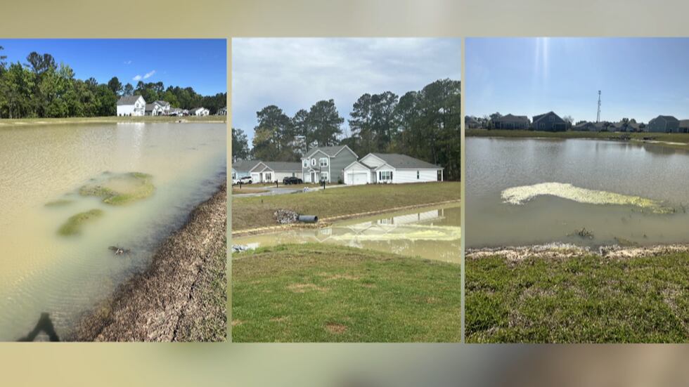 Nikole Willis' stormwater pond behind her property that was built by the company Constantly...