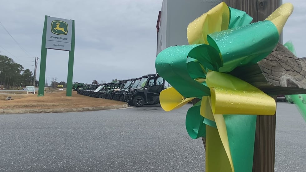 Green and yellow bows in honor of Emmett sit outside several businesses in town including the...