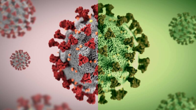 Mutating coronavirus