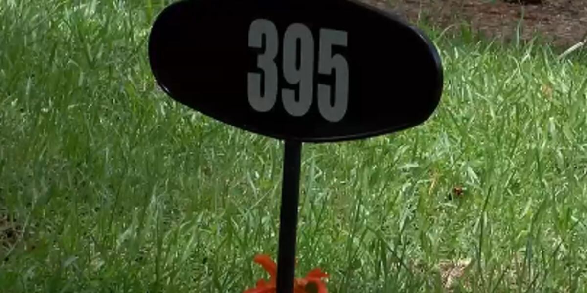 S.C. offers secret address option for crime victims