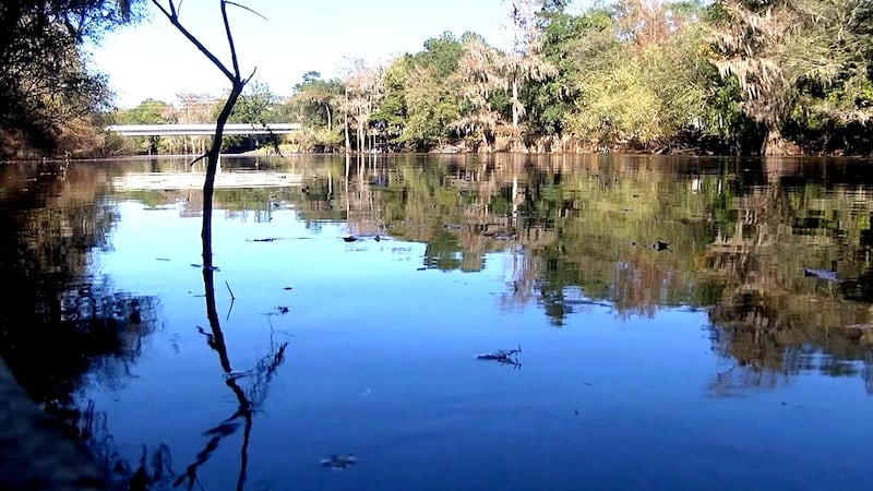 Ogeechee River