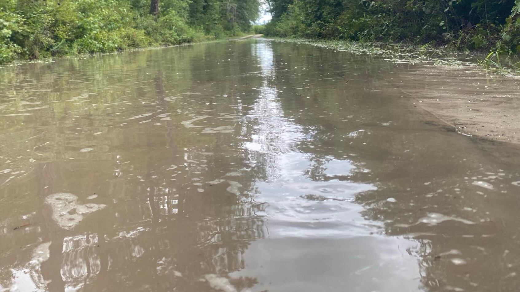 This was the situation on Aug. 8, 2024, on Gar Road near the Edisto River in Bamberg County.
