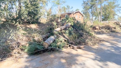 Debris clean up across CSRA