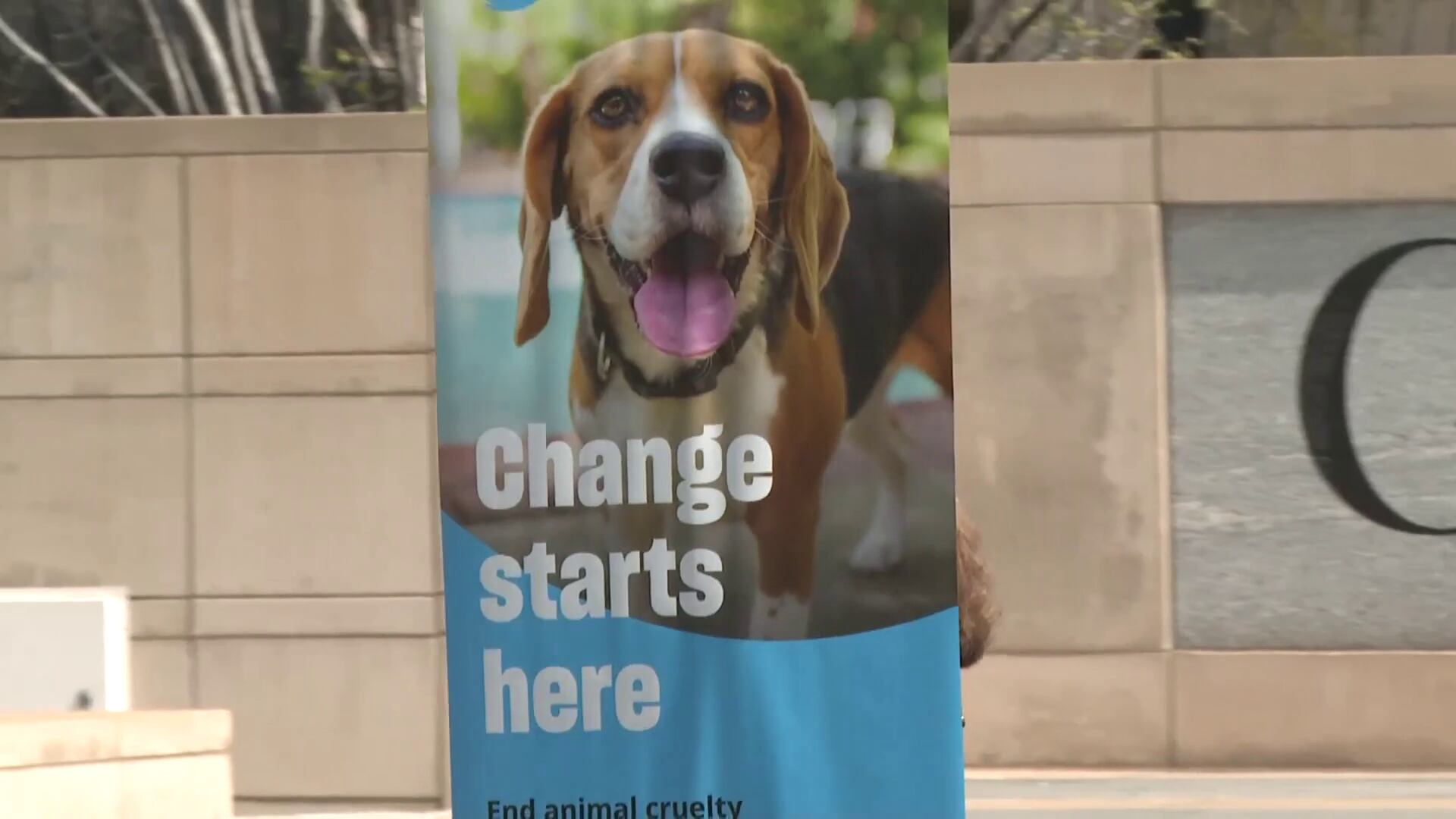 Animal kill rates in Georgia have nearly tripled over the last 4 years