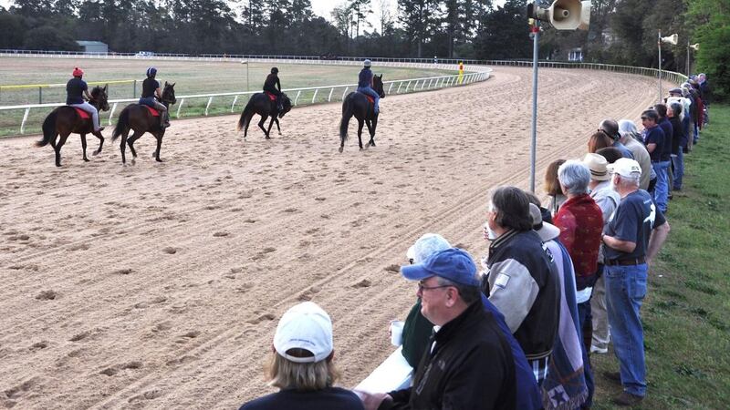 Breakfast at the Gallops