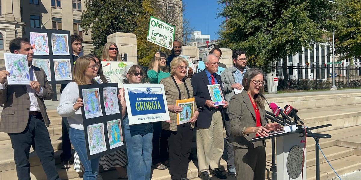 Groups want permanent protections against mining at Ga. swamp