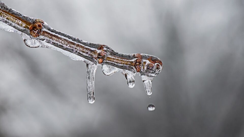 Wintry weather