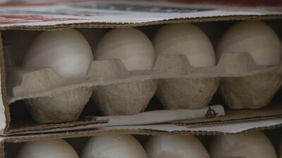 Avian flu and other factors are still causing an egg shortage and the demand for eggs has...
