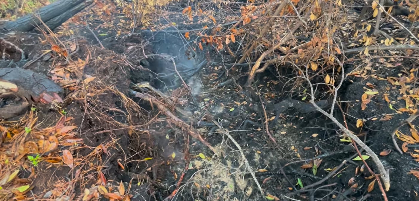 Rains help increase Carolina Forest wildfire containment to 93%