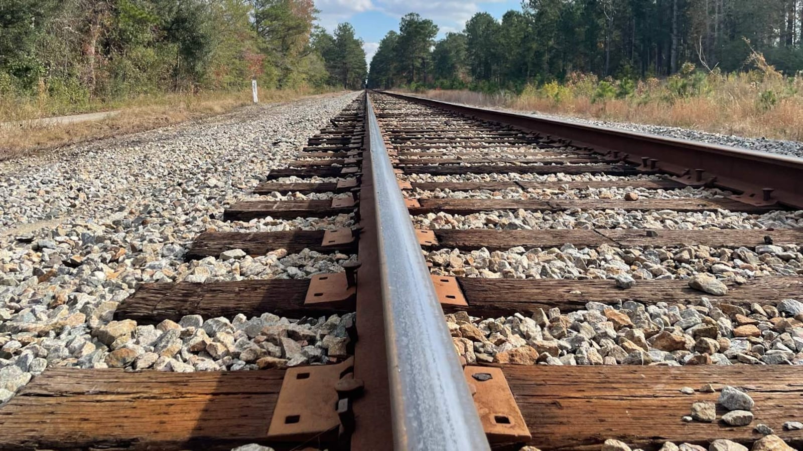 Safety alert from 12 on Your Side Investigates: Millions of cars ...