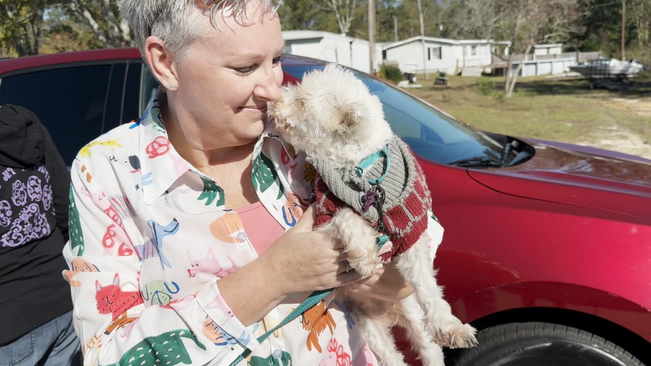 Team Stinkykiss Shelter Rescue Project
