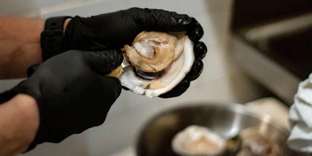 New regulations make splashing impact on Georgia’s shellfish industry New regulations make splashing impact on Georgia’s shellfish industry