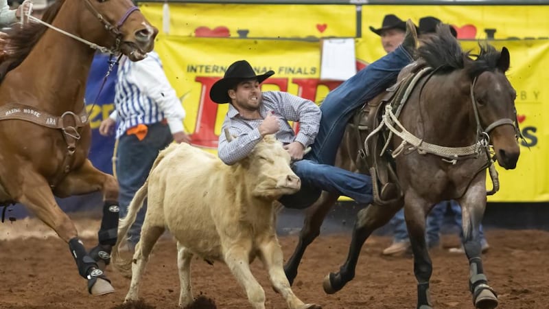 Internal Amazon Rodeo Professional rodeo action comes to Aiken fairgrounds