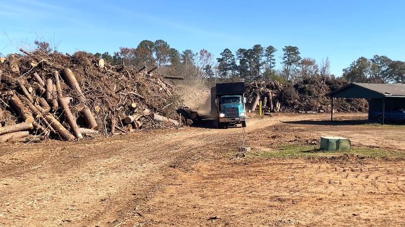 Debris cleanup still underway in CSRA