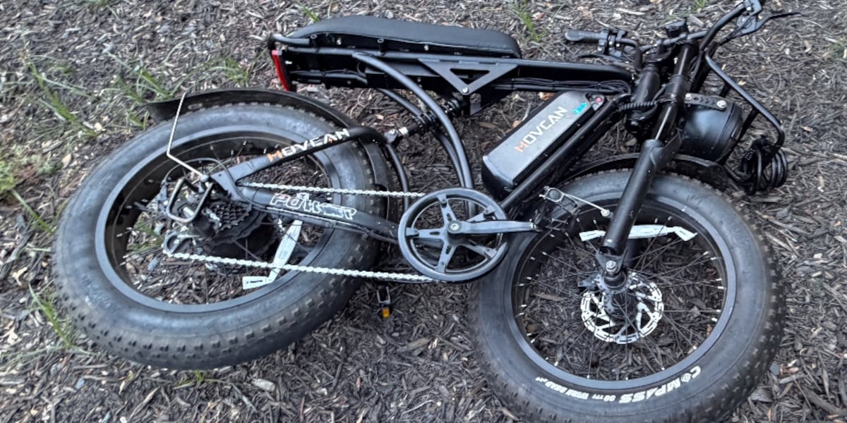 V Rising Pollen SAFETY ALERT: Injuries, deaths rising from e-bikes scooters, cycles