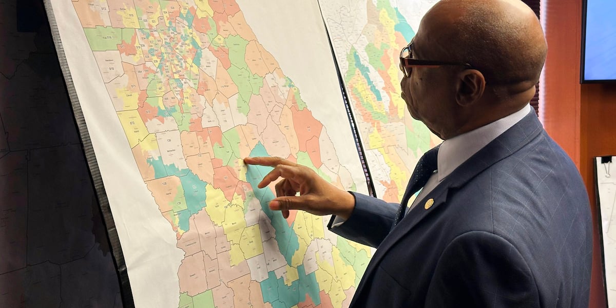 Challengers argue Georgia’s new maps still harm Black voters Challengers argue Georgia’s new maps still harm Black voters