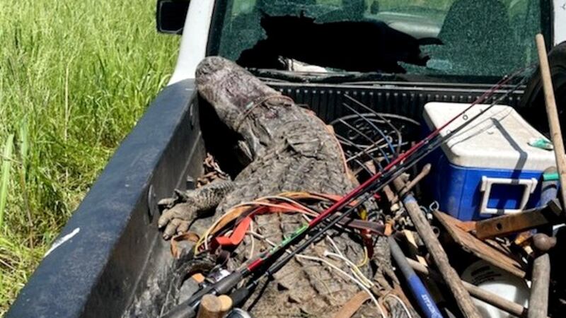 Two people were charged with poaching a large alligator out of season in Richmond County,...