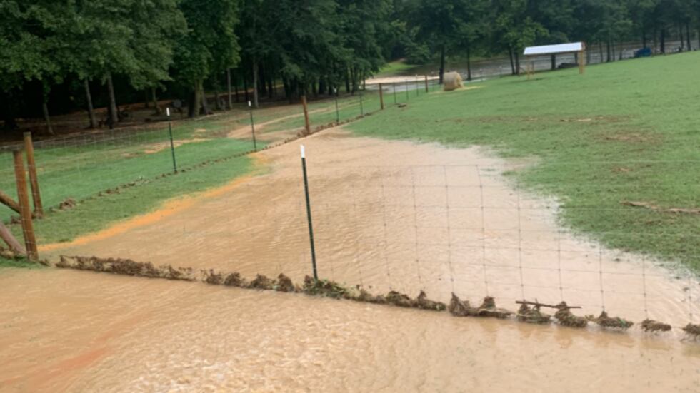 Cedar Creek Road