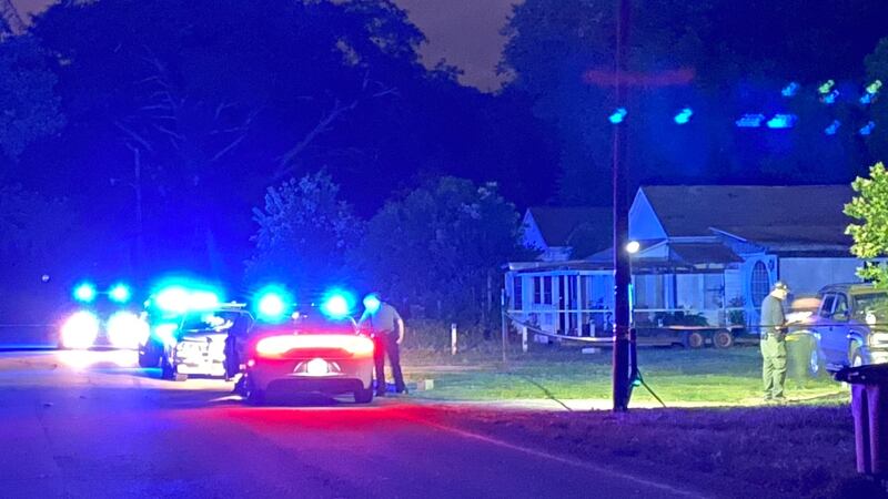 100 block of Pelzer Street in Warrenville.