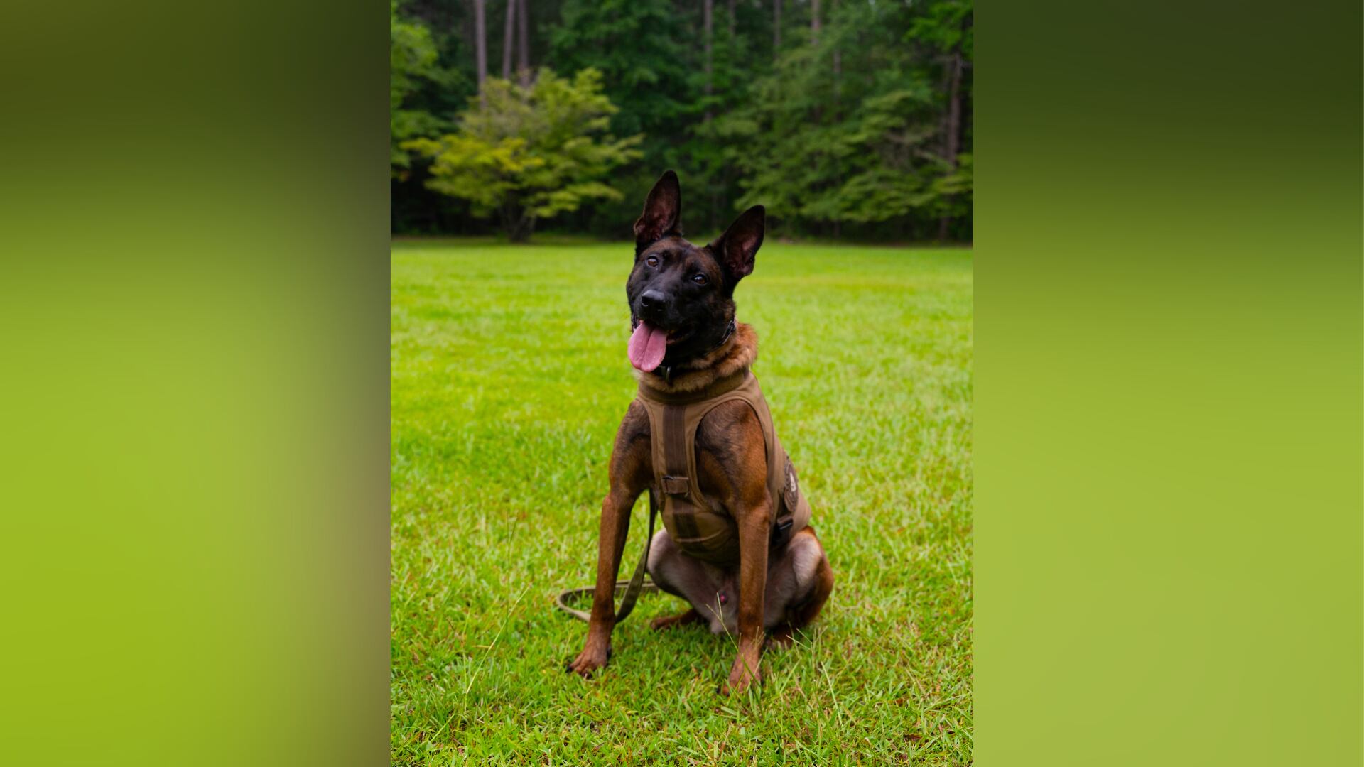 The State Law Enforcement Division said the K9 officer who was shot by a suspect in Newberry...
