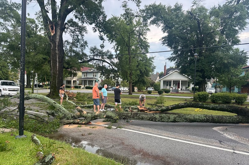 A fallen tree on Broad Street at Third Street attracted a group of people eager to help move it.