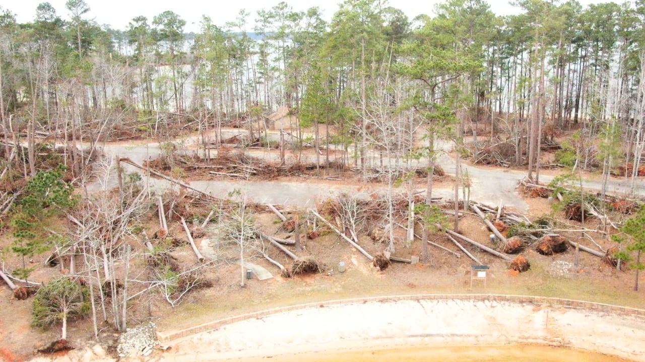 Debris at Clarks Hill Lake