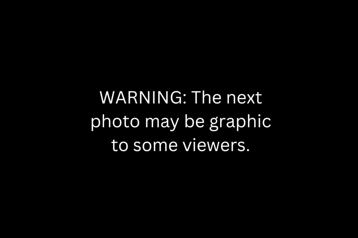preloaded gallery image