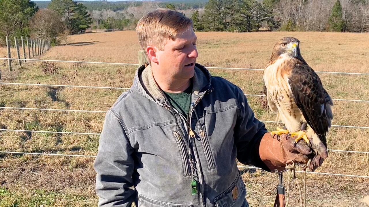 Dr. Jason Norman and Arrax