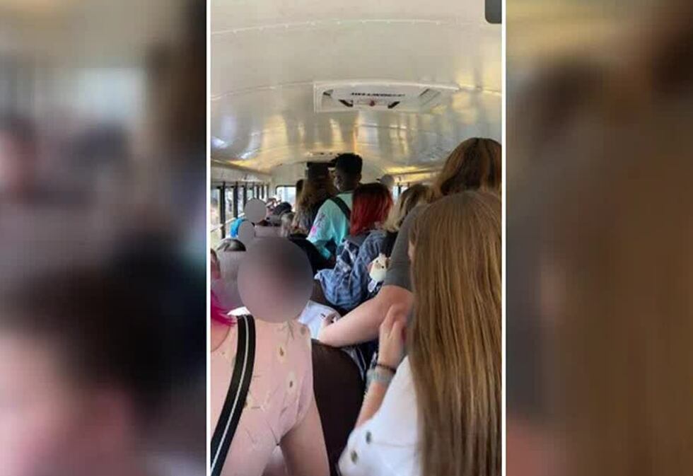bus photo