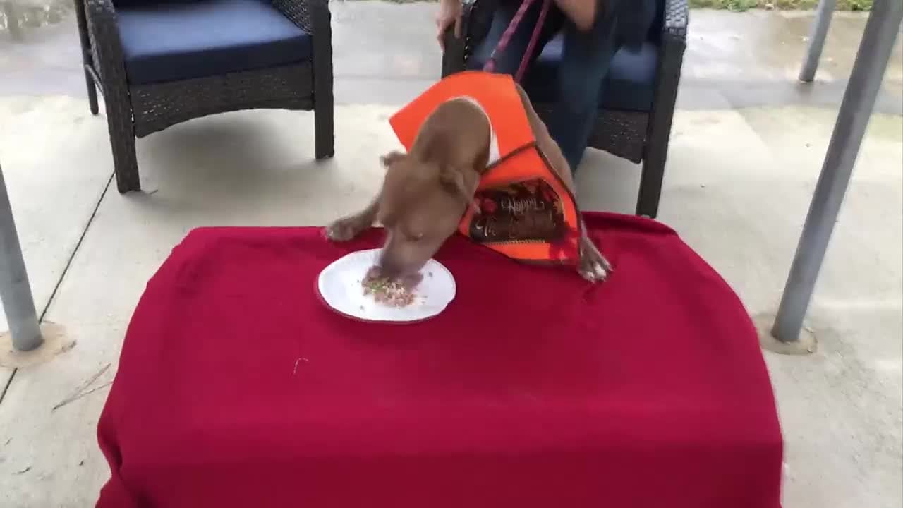 Treat