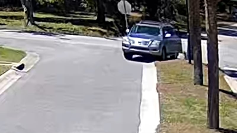 Elizabeth Baker says video shows a car pulling up and someone taking one of her signs.
