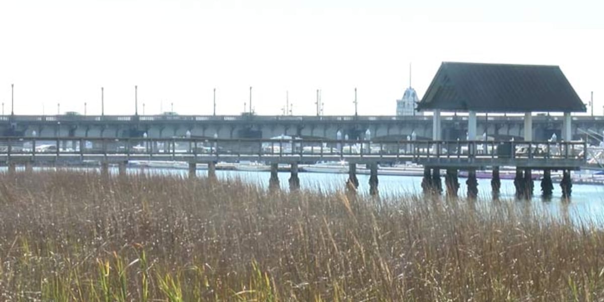 New study offers some insights on South Carolina infrastructure